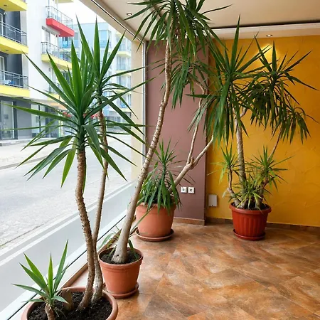 Hostel Argo Obsor